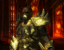 Divinity 2 Stone