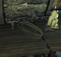 Divinity 2 Rope