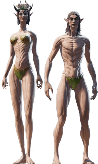 divinity original sin 2 classes and races divinity original sin 2 classes and races