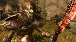 Divinity 2 Charlie