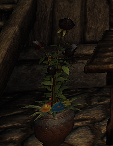 Black Rose (D2 herb)