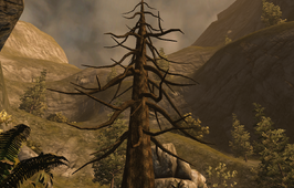 Divinity 2 Irminsul