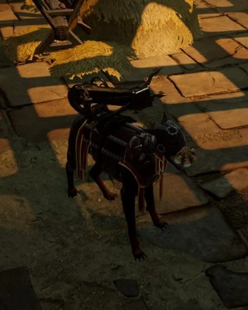 Argos Divinity Wiki Fandom