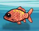 Critter fish floating fish
