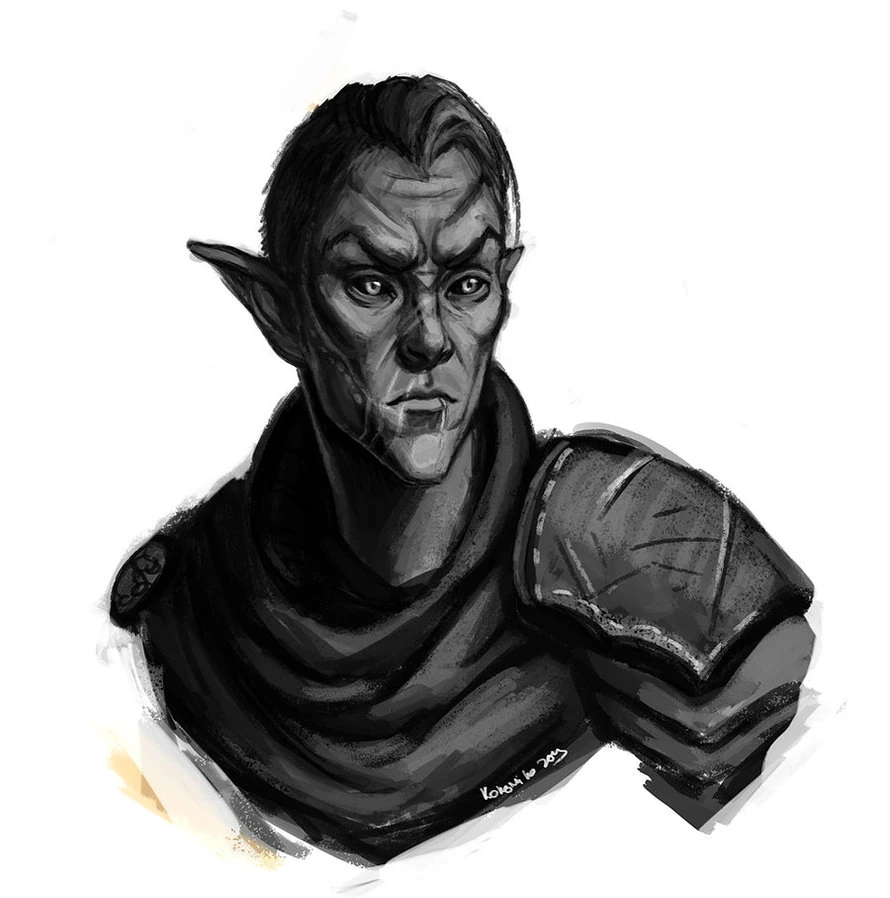 Grey Elves DMC D&D Wikia FANDOM powered by Wikia