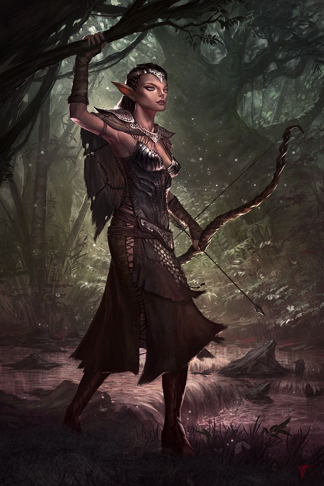 Wood Elves | DMC D&D Wikia | FANDOM powered by Wikia