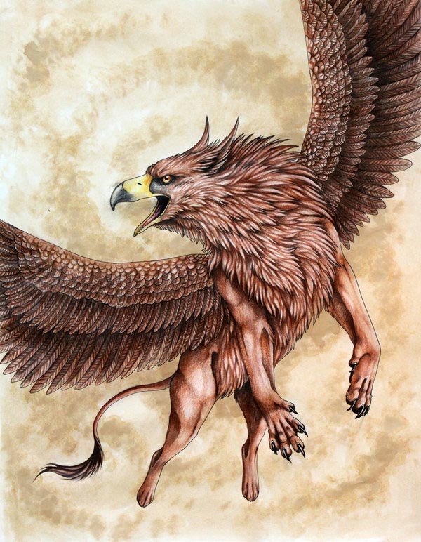royal griffin dmc d d wikia fandom powered by wikia