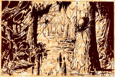 Spider Swamp