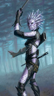 Genasi Sword Mage Female