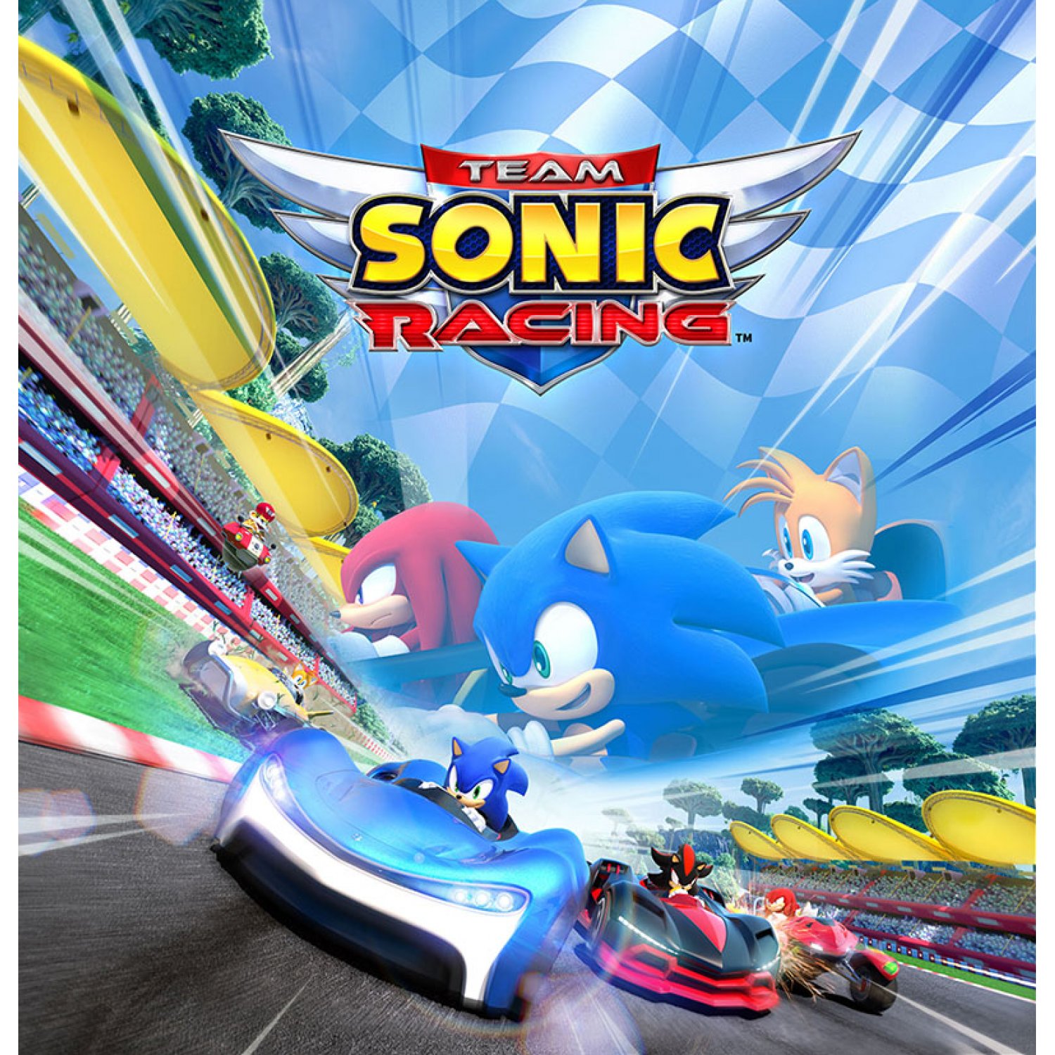 Team sonic racing системные требования