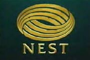 Nest