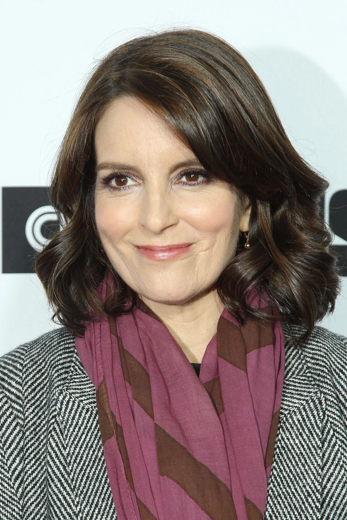 Tina Fey Doblaje Wiki FANDOM powered by Wikia
