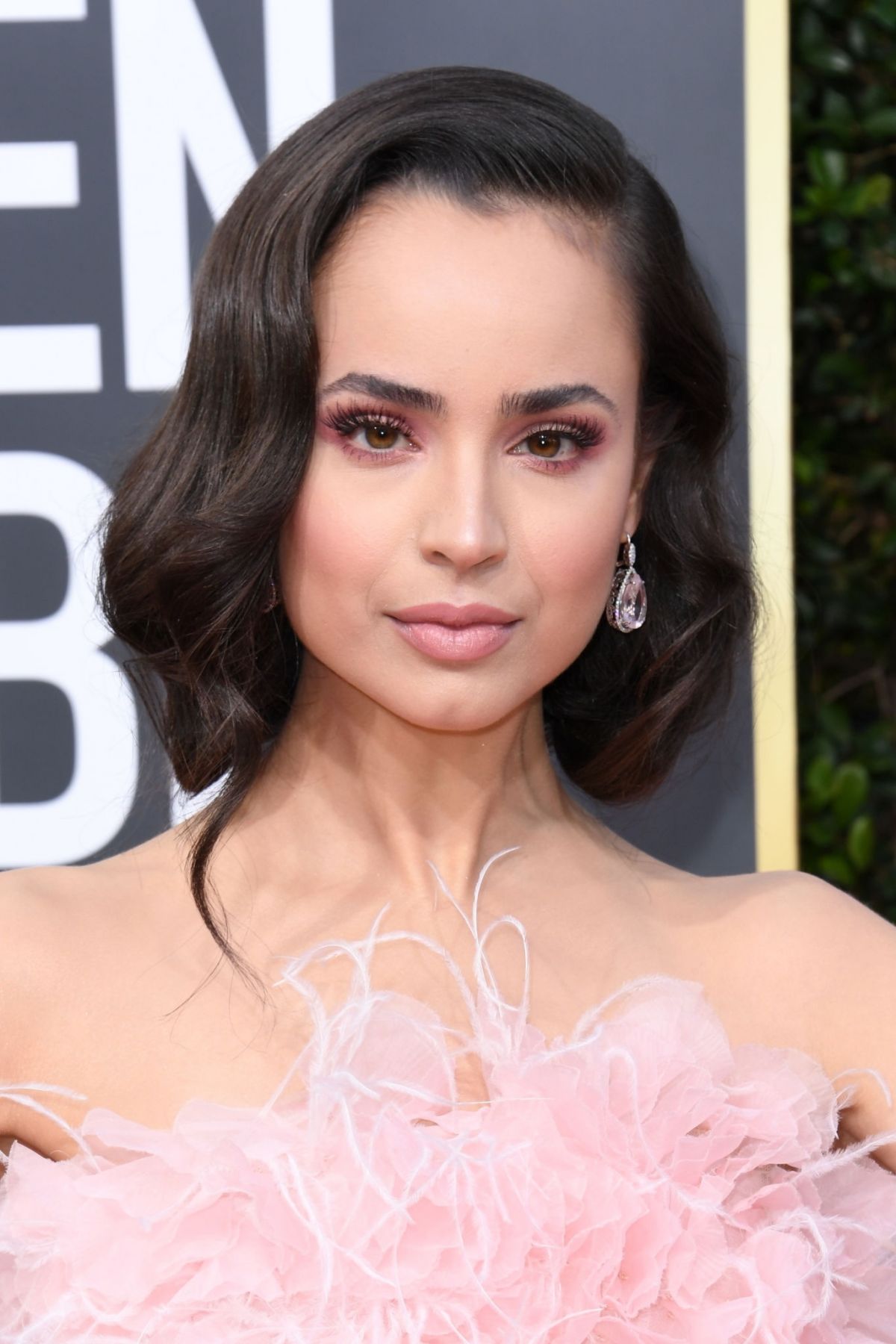 Sofia Carson | Doblaje Wiki | Fandom