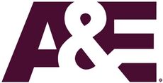 A&e current logo
