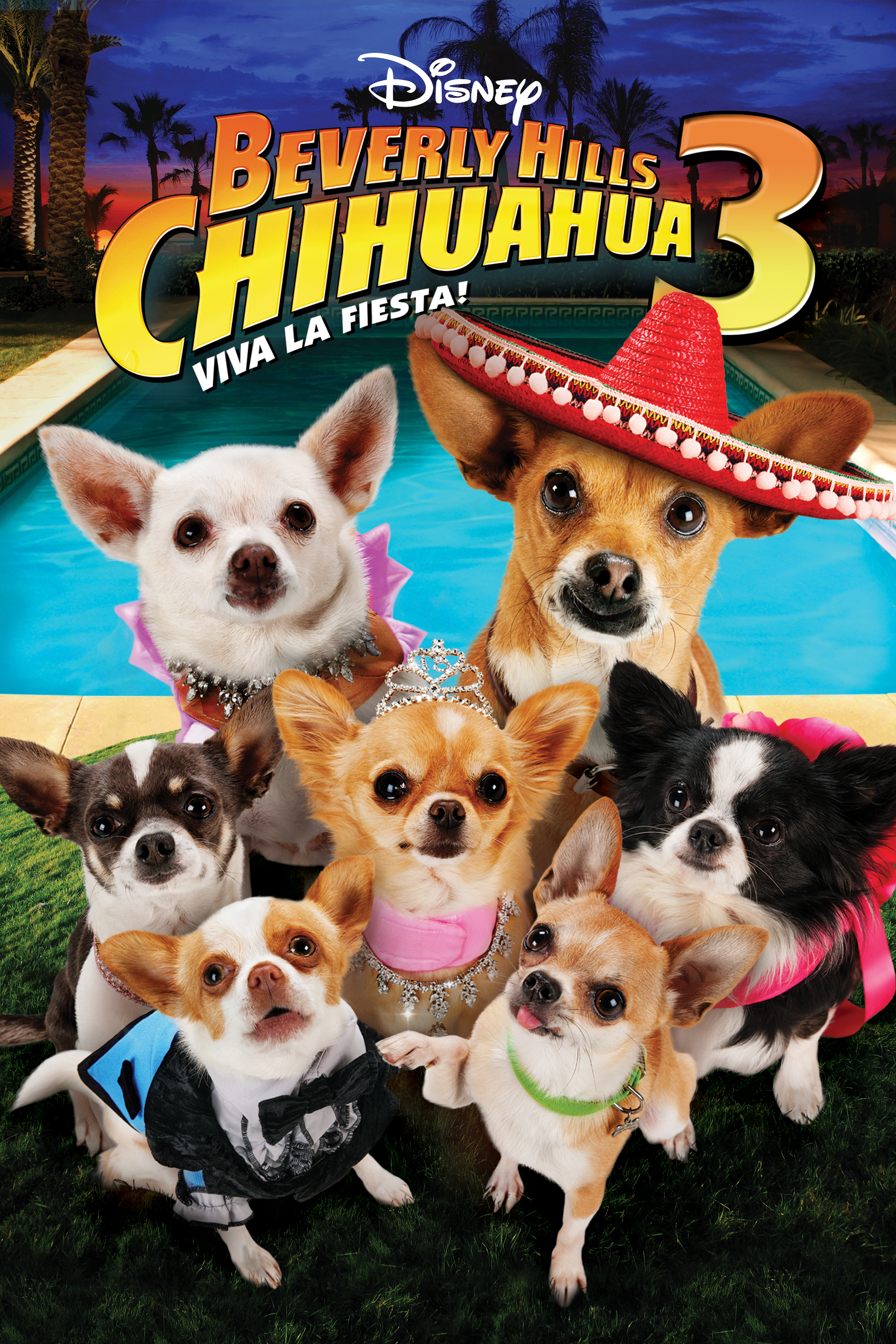 Una Chihuahua De Beverly Hills 3 Viva La Fiesta Una Chihuahua De Beverly Hills 3 Viva La Fiesta