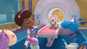 Lambie four legged in her hospital clothes