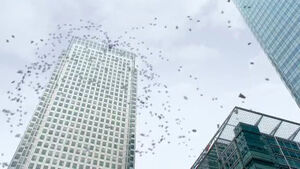 Canary Wharf1