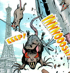 Riesenratten in Paris