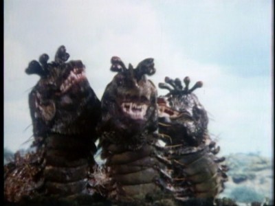 Drashigs