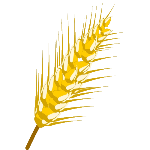 Trigo | Dofus Brasil | FANDOM powered by Wikia