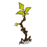 Healing Branch