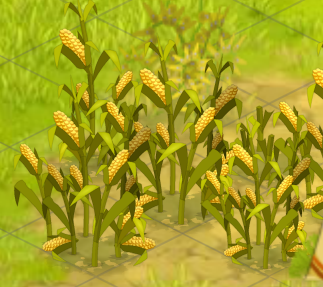 Corn Plant corn (plant) | dofus | fandom poweredwikia Corn Plant corn (plant) | dofus | fandom poweredwikia