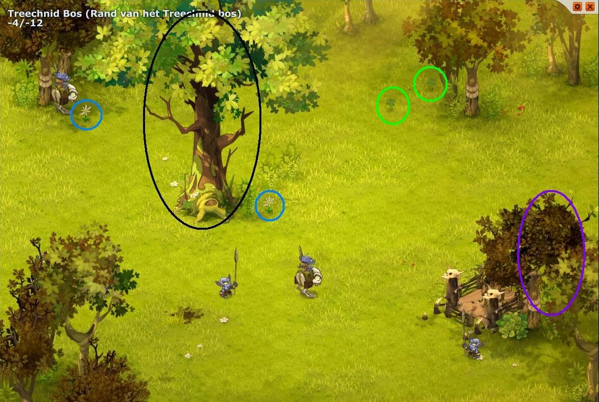 Imagem Secret map7 trees.jpg Dofus Brasil FANDOM powered by Wikia