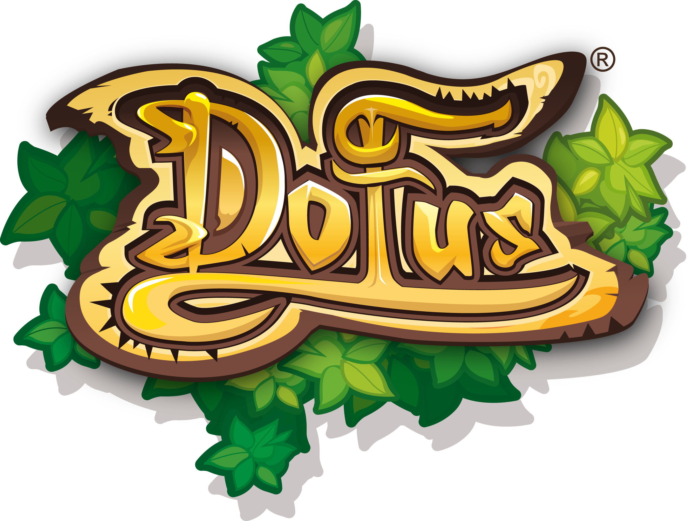 dofus touch leveling guide