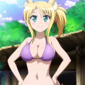 Yukikaze Panettone Dog Days Wiki Fandom