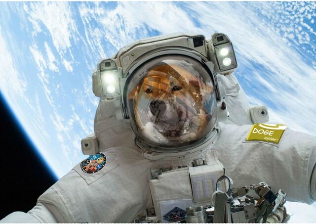 File:A touchup astrodoge.jpg
