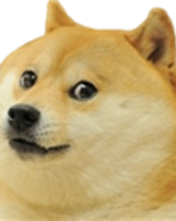 Doge Dogehouse Wikia Fandom - roblox wiki doge