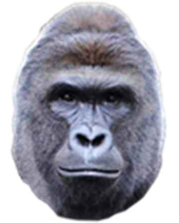 Harambe The Gorilla Dogehouse Wikia Fandom - gorilla leg roblox