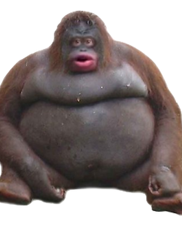 Le Monke Dogelore Wiki Fandom