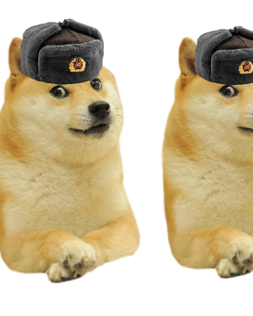 Red Shibes Dogelore Wiki Fandom