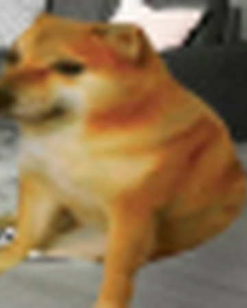 Cheems Jr Dogelore Wiki Fandom