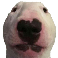 Walter Dogelore Wiki Fandom