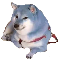 Blue Doge Dogelore Wiki Fandom
