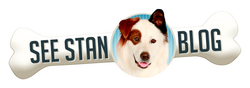 See Stan Blog