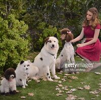 Stan Rescues His Princess Dog With A Blog Wiki Fandom