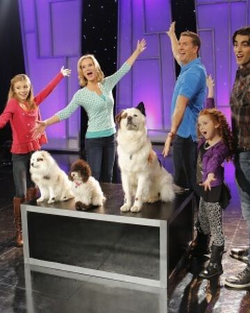 Stan S Secret Is Out Dog With A Blog Wiki Fandom