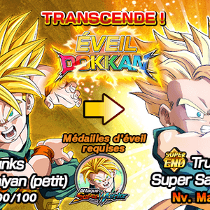 Attaque Super Warrior Wiki Dokkanbattlefr Fandom