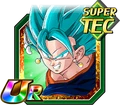 Vegettossbturtec