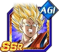 Gokussj2angessragi