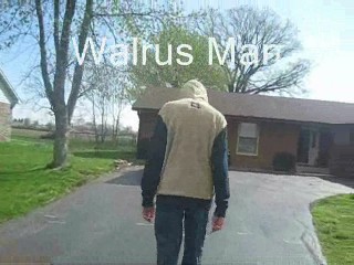 Walrus Man 0002