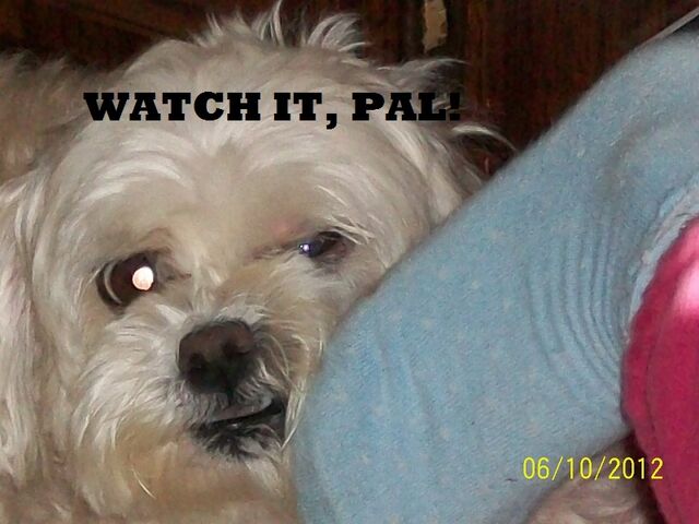 File:Watch it, pal!.jpg