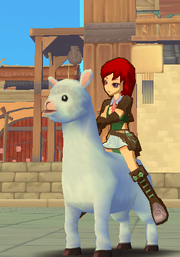 Alpaca