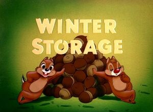 D winter storage