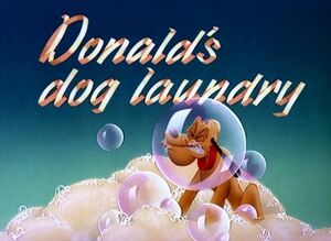D dog laundry