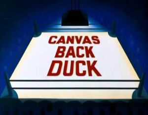 D canvas