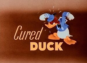 D cured duck